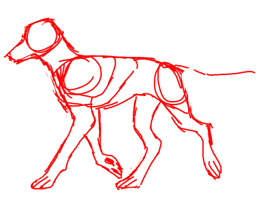 dog walk cycle